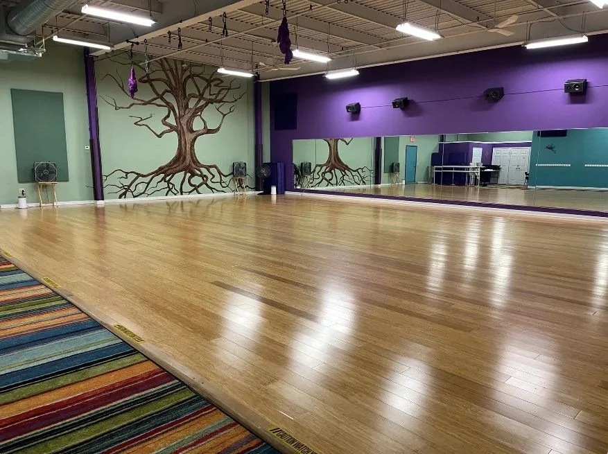 Lisa Matias Dance Centre business photo