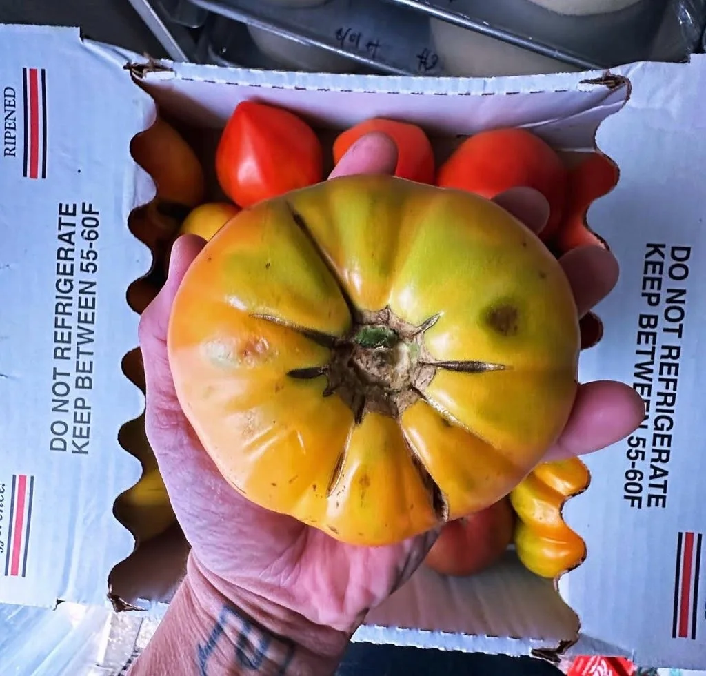 Zephyr's Street Pizza, business photo 3