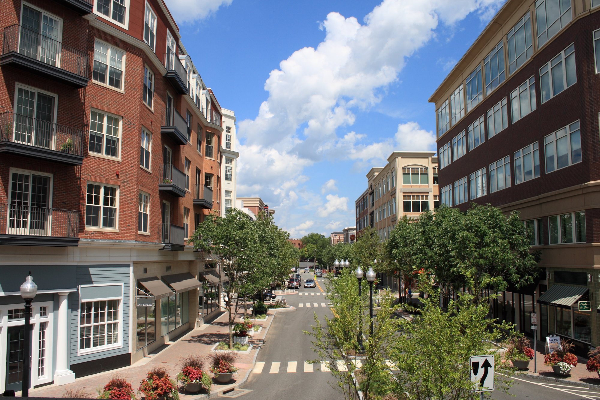 Blue Back Square in West Hartford